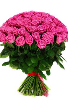101 розовая роза
