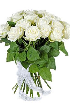 25 белых роз