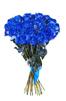 25 синих роз