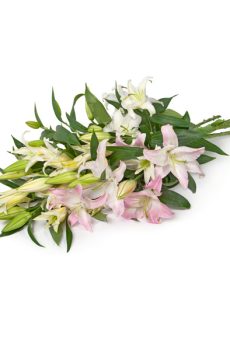 Букет Свет звезды