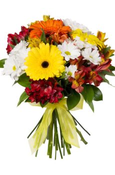 Букет Красочный фонтан