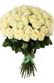 51 белая роза