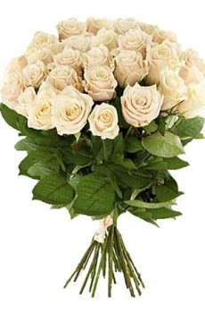 Букет 51 кремовая роза