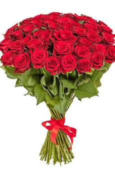 51 красная роза