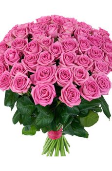 51 розовая роза