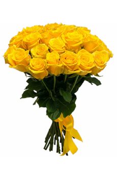 51 желтая роза