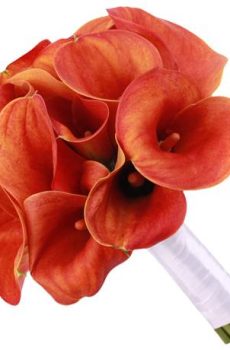 Букет невесты № 22