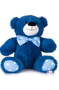 Медведь Василий